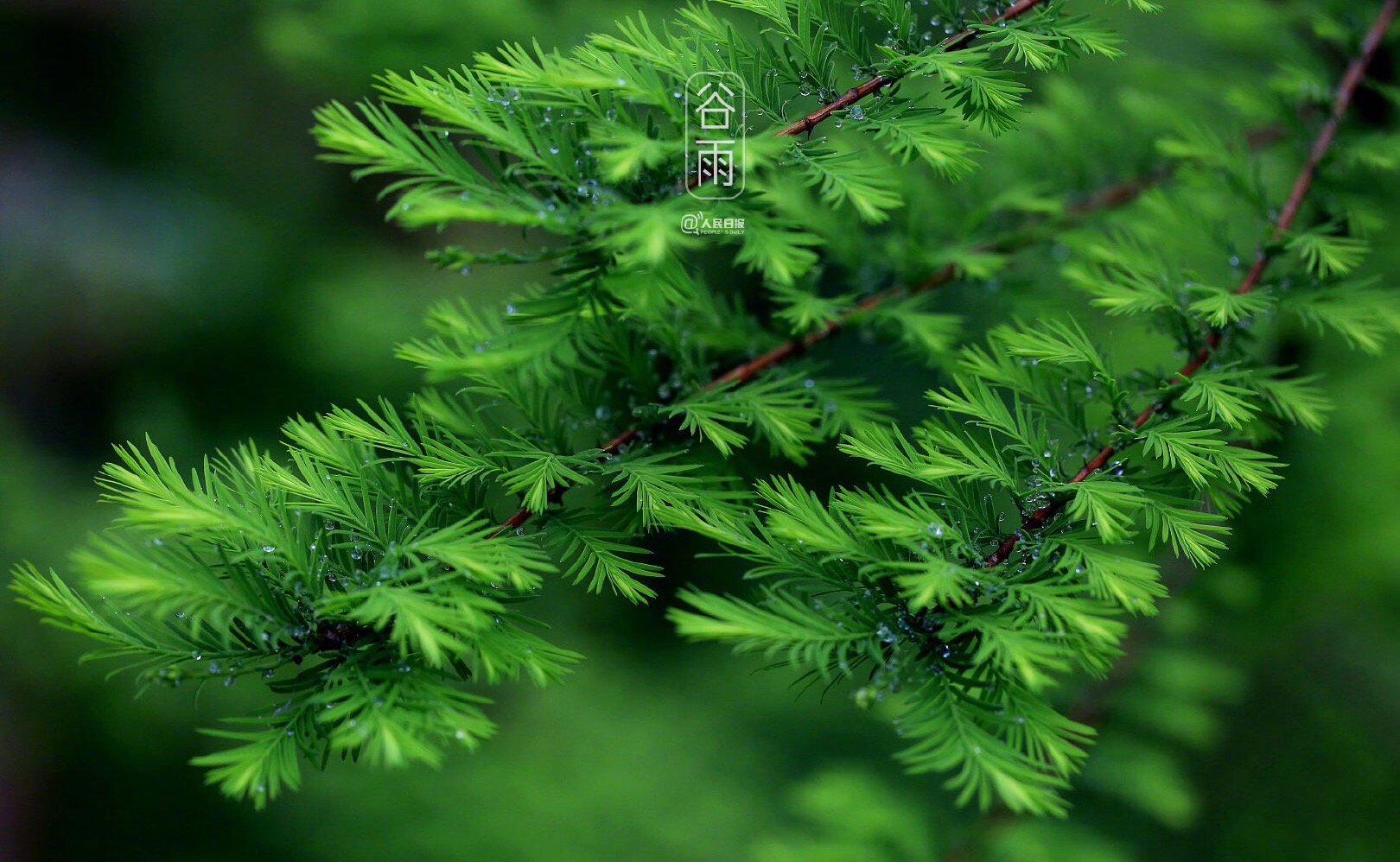 就业服务与就业管理规定