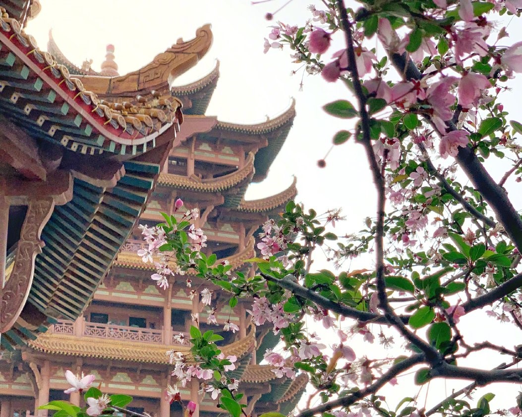 《关于做好我市失业保险技能提升补贴申领发放工作的通知》政策问