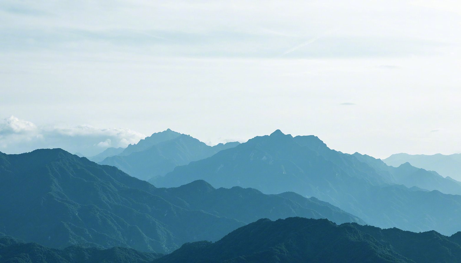 关于开展回乡就业直通车活动的通知