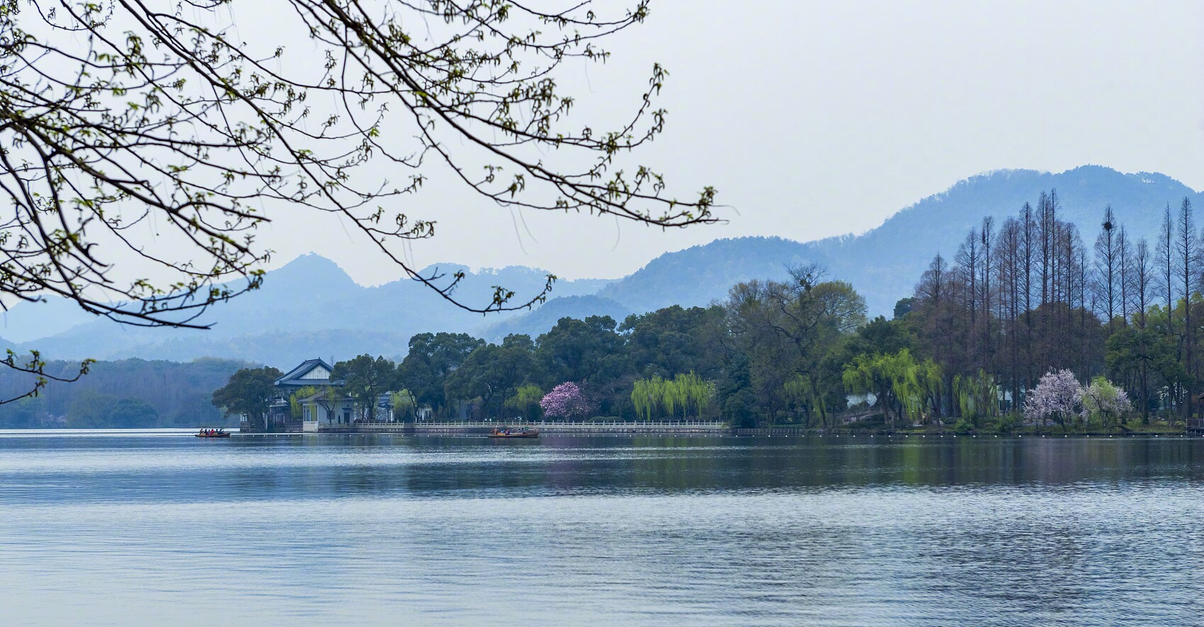 我市65周岁及以上参保居民增发城乡居民养老保险高龄人员待遇补